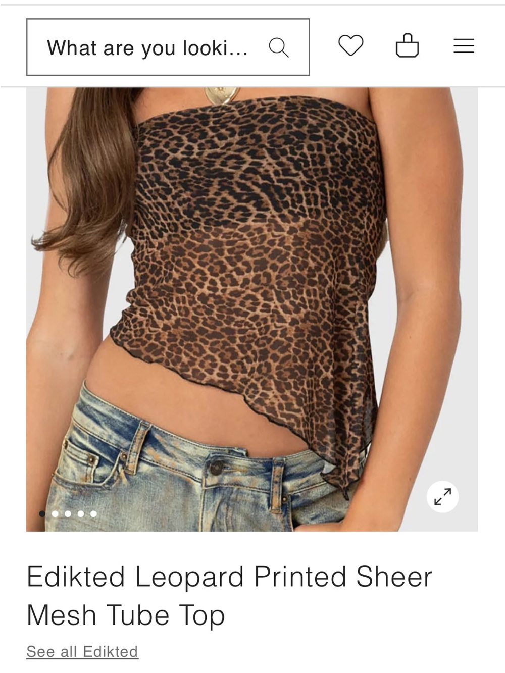 Edikted Leopard Printed Sheer Mesh Tube Top size XS